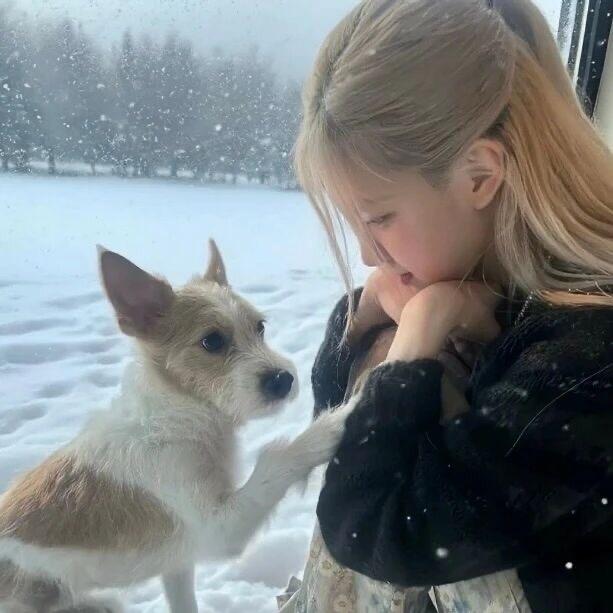 juhoon的低腰裤🐽