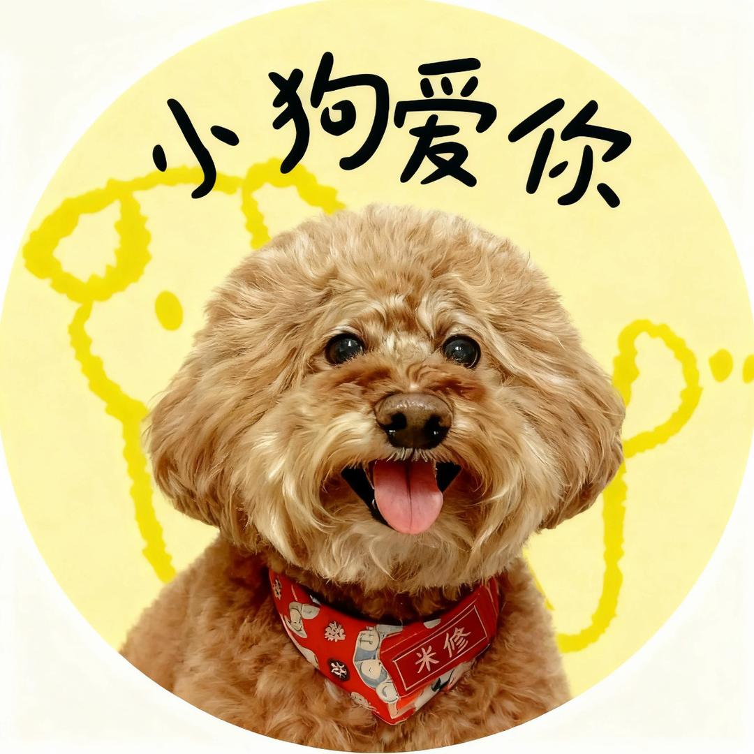 米修是泰迪（成长版）
