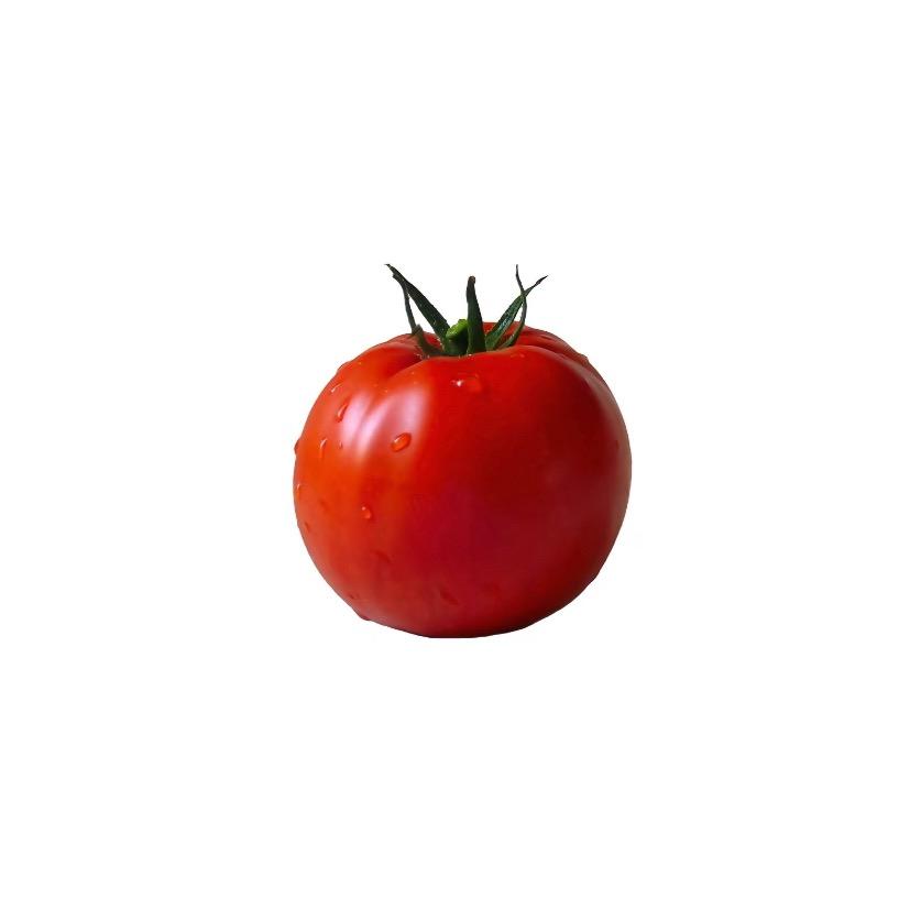 西红柿Tomato🍅