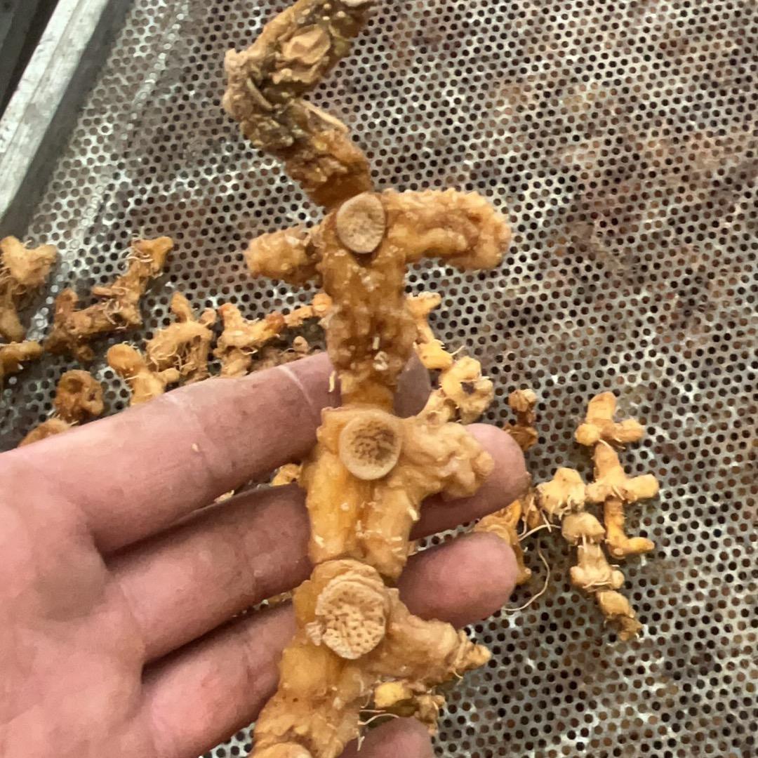 徐水根.皖南山货、前胡黄精覆盆子金蝉花等