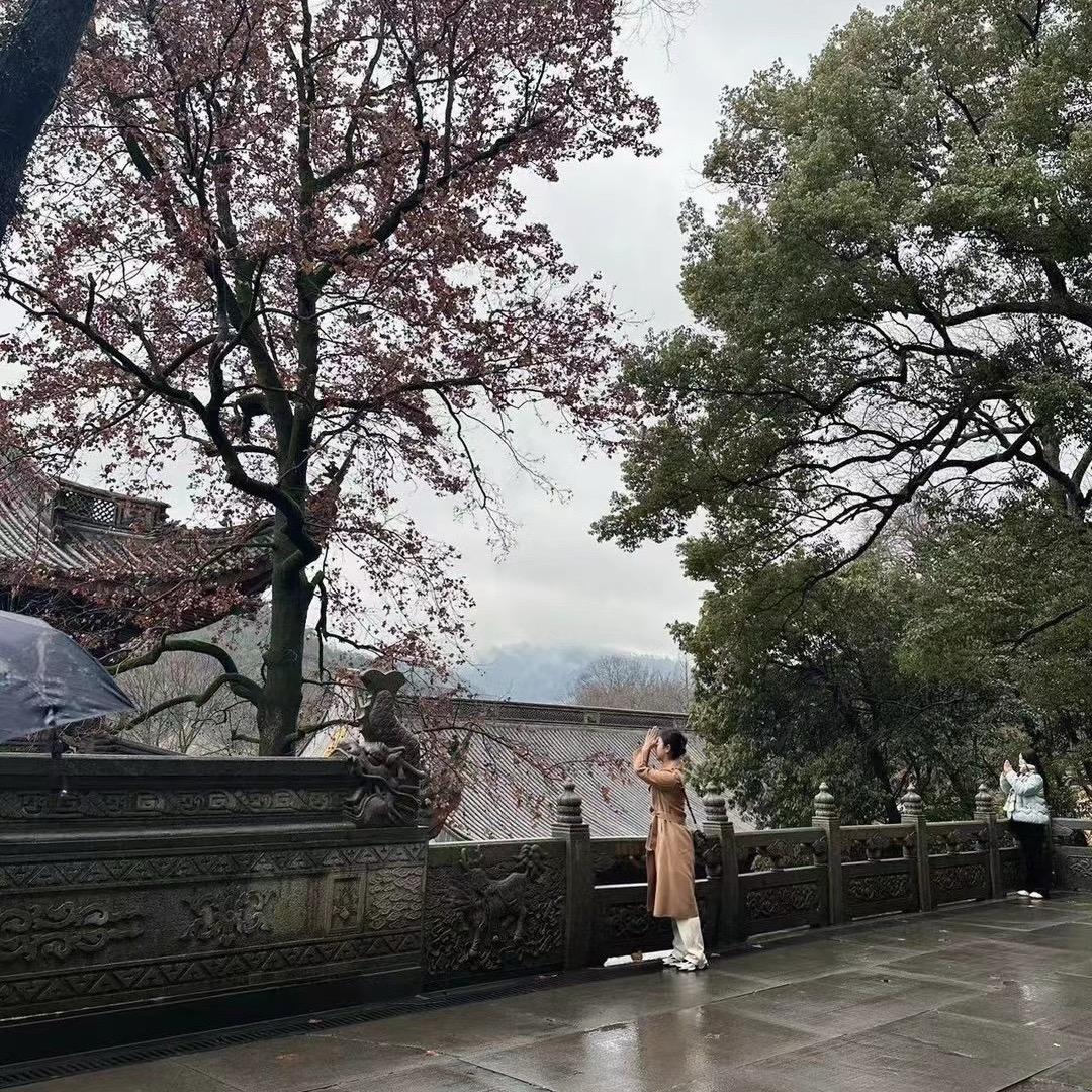 嘚啵嘚啵.