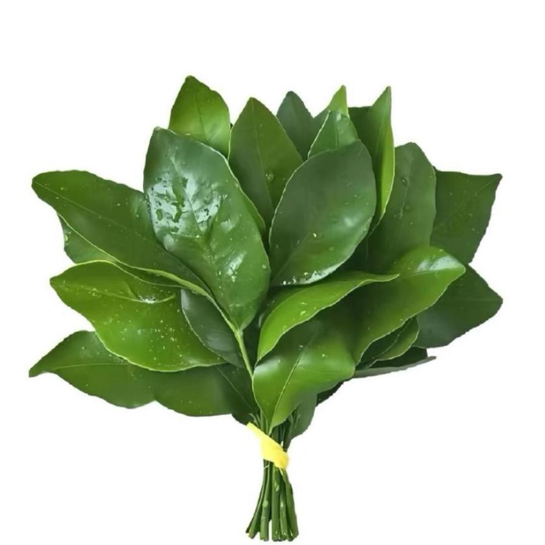 张张包🍋