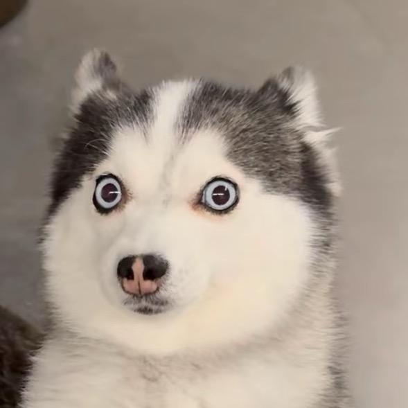 咕噜：）
