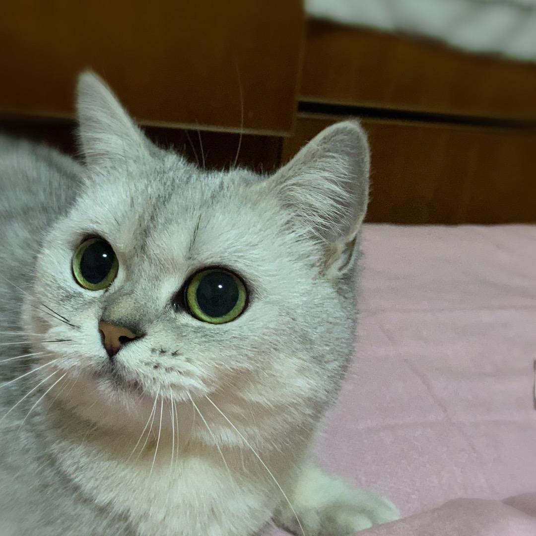 沙砾