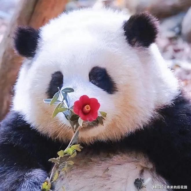 yi～头像