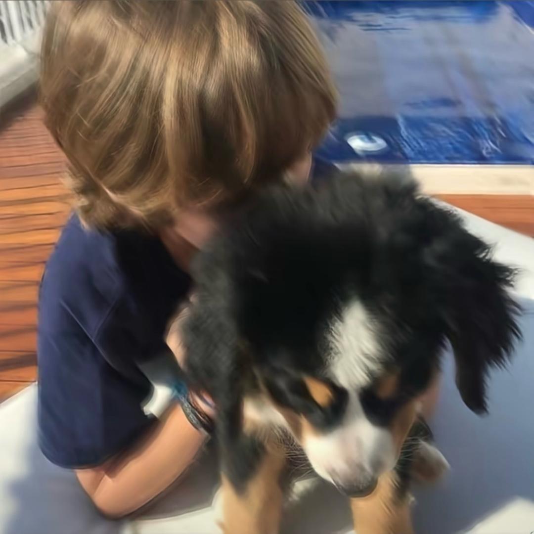 超绝爆辣火鸡面