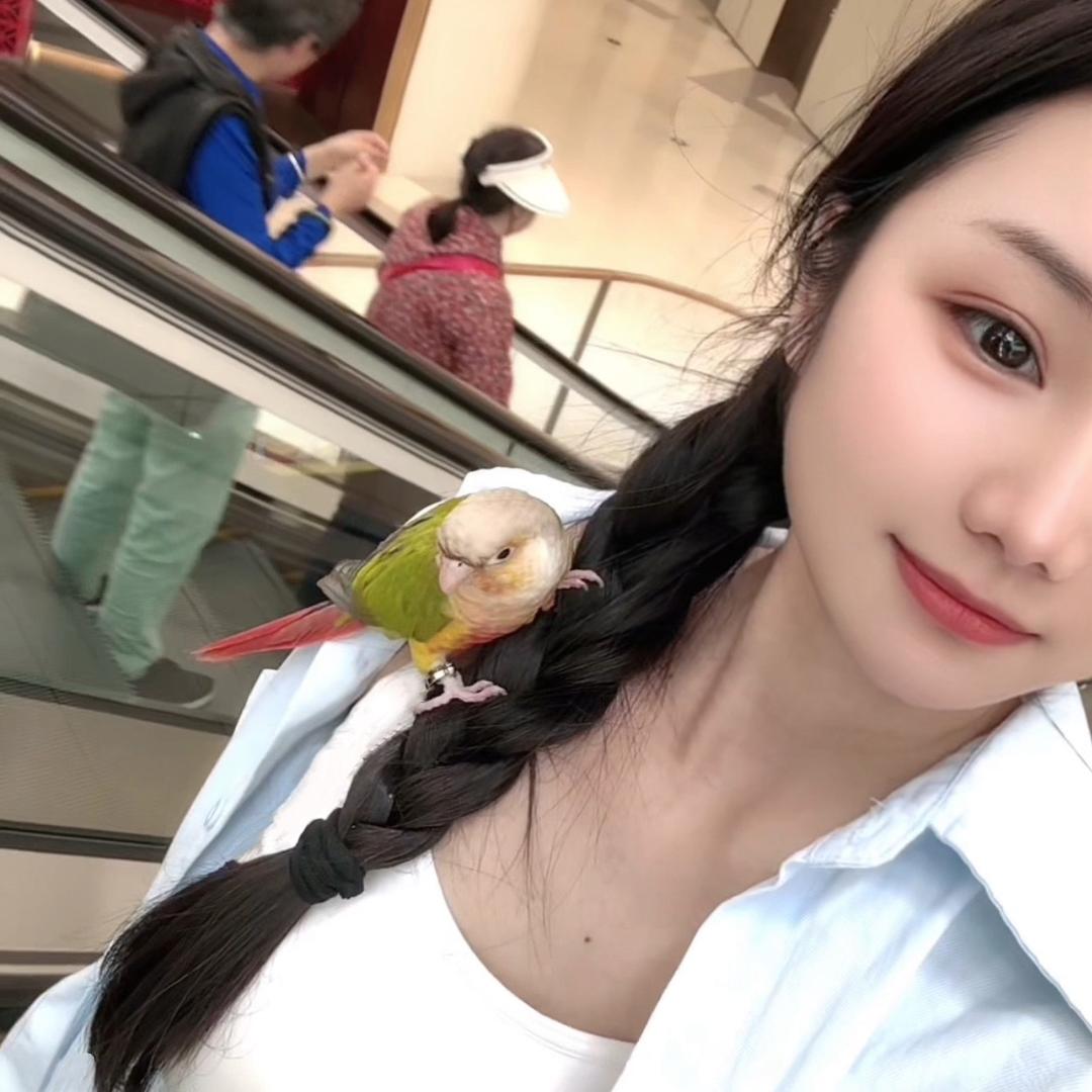 明媚钕子