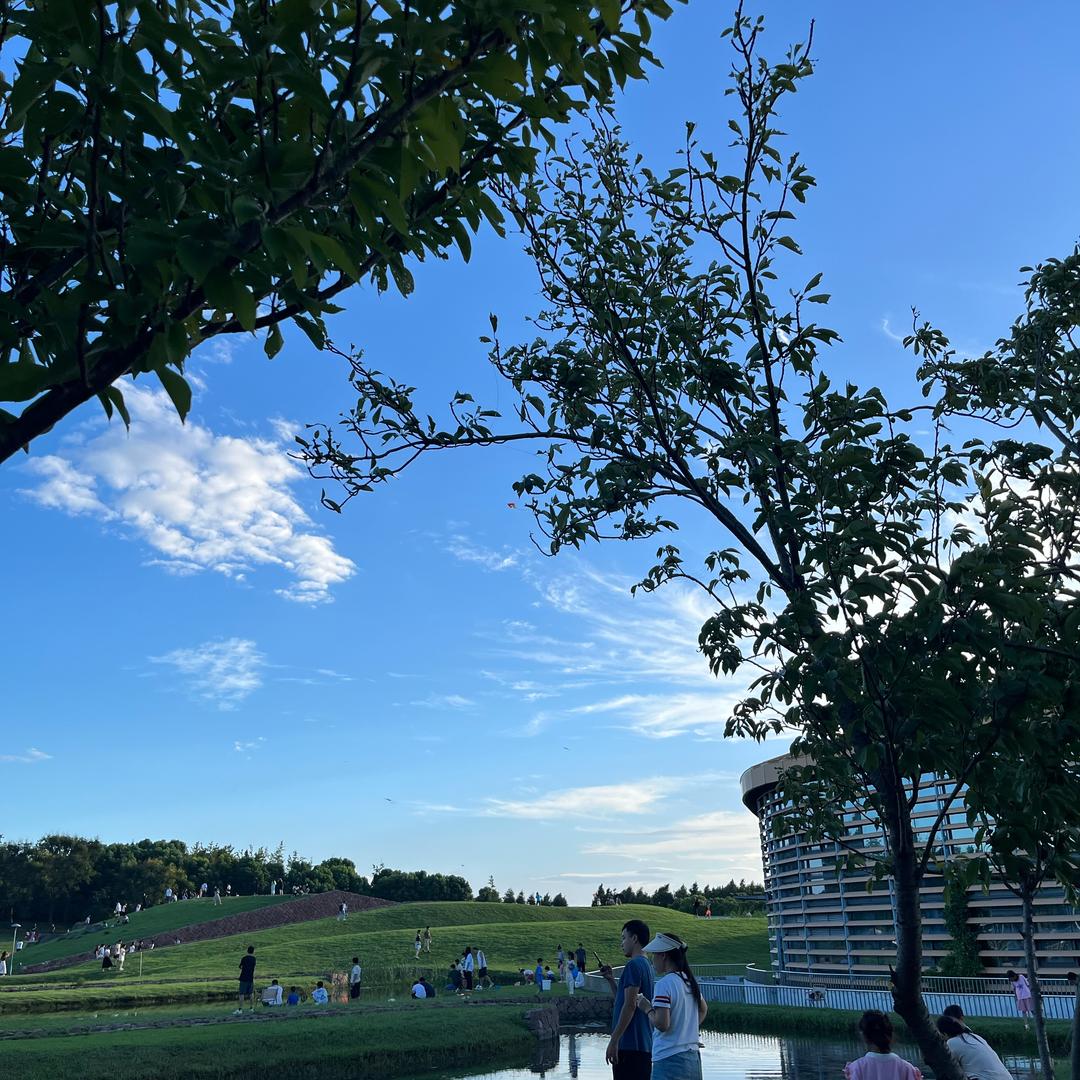 骑老头乐的OO后