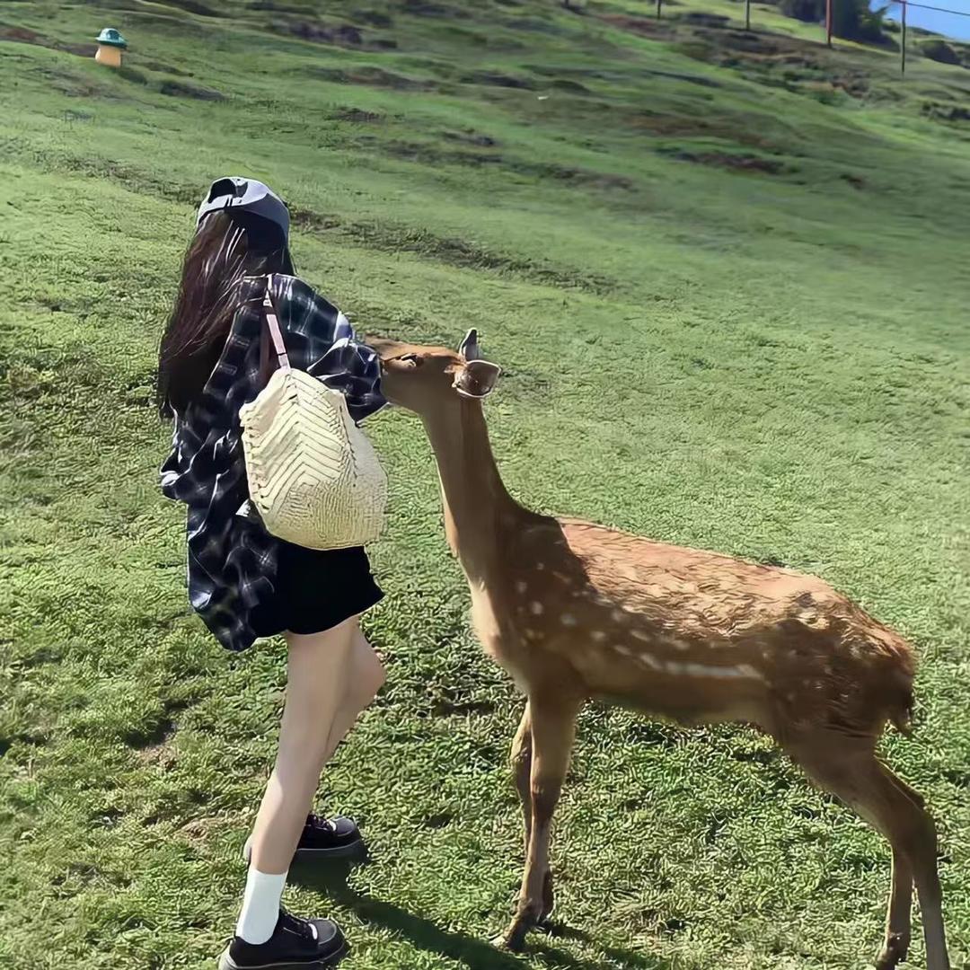 饼饼宝宝🍼