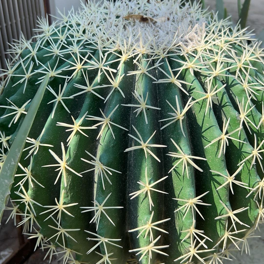 嗯嗯