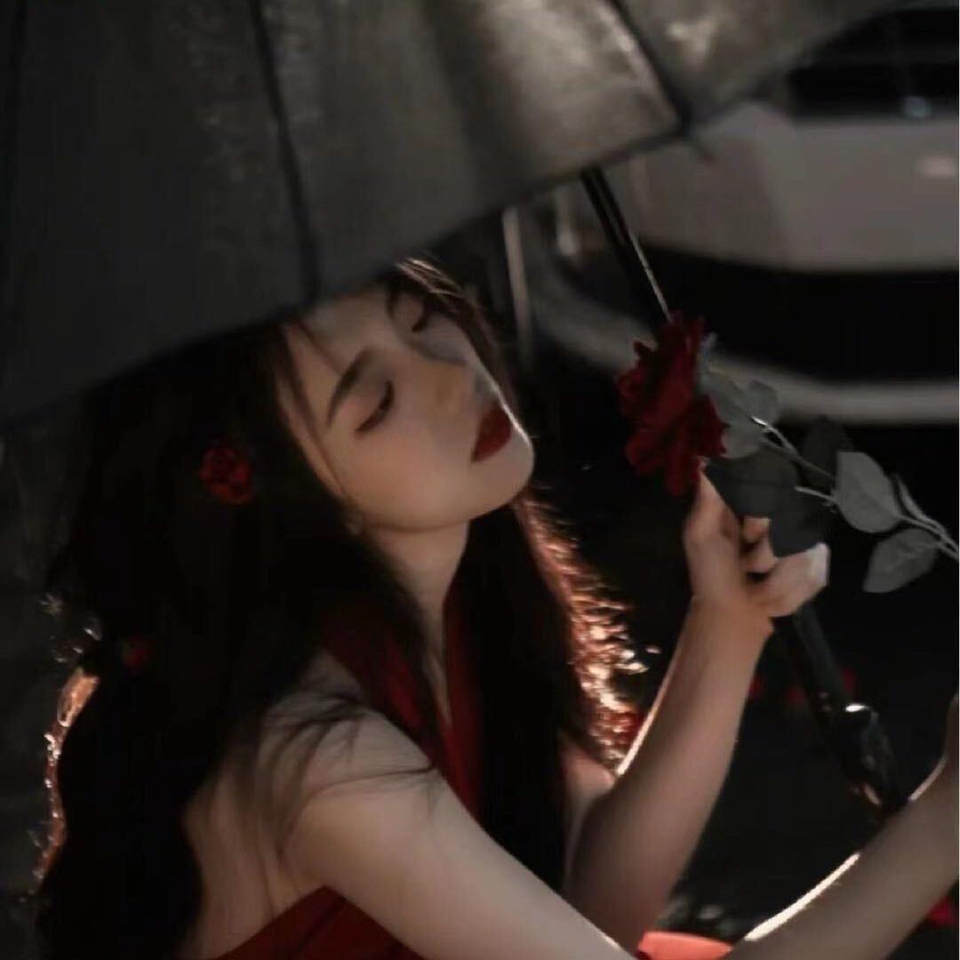 Y L、