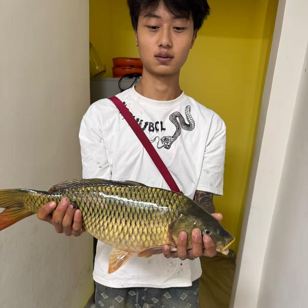西达谷麦贵阳市代理