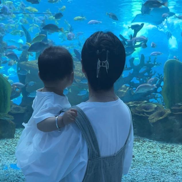 闪小宝