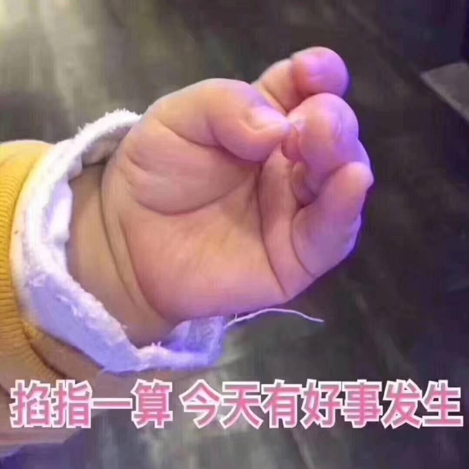 土豆不土