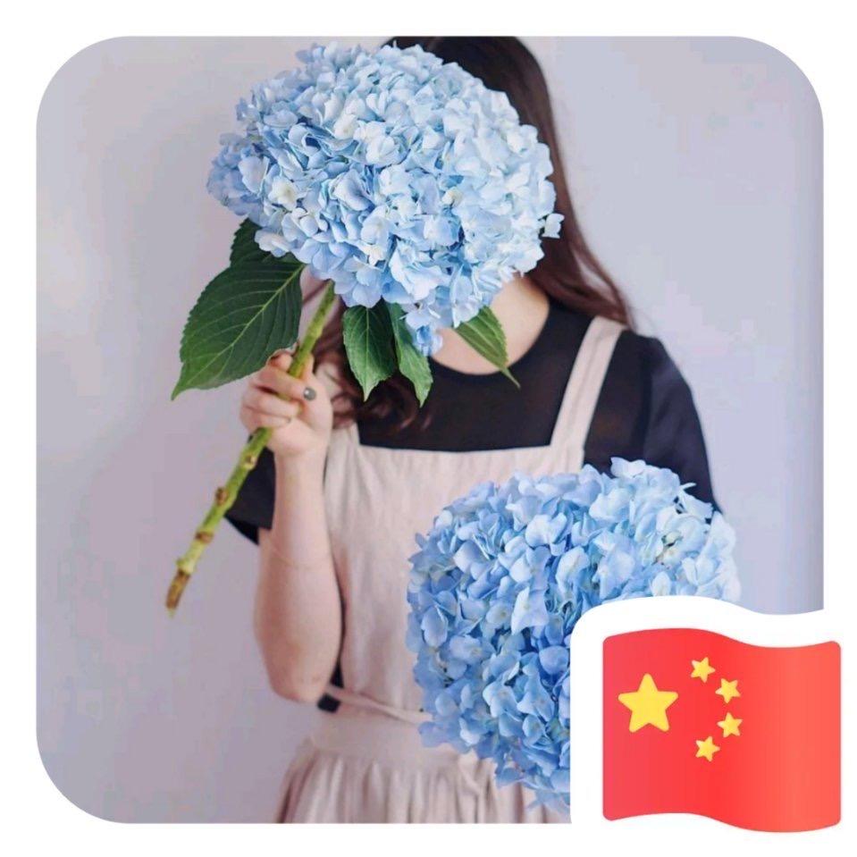 茶不多末末