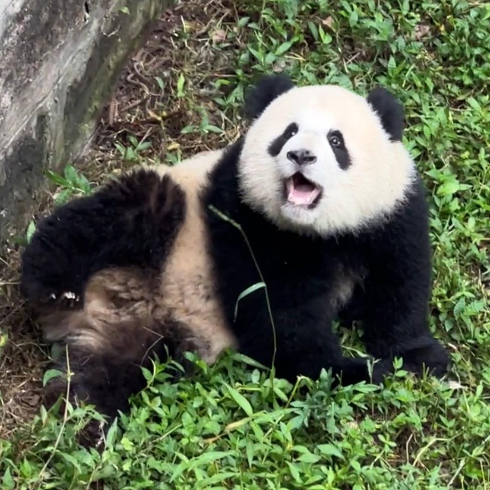偶然……