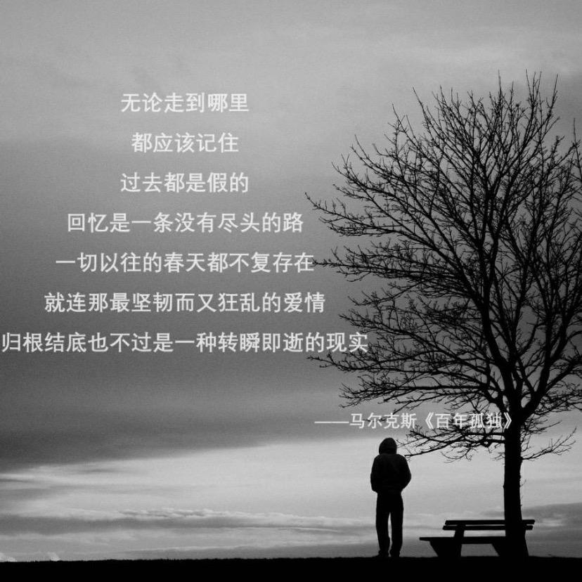 盛世名足❤鱼台