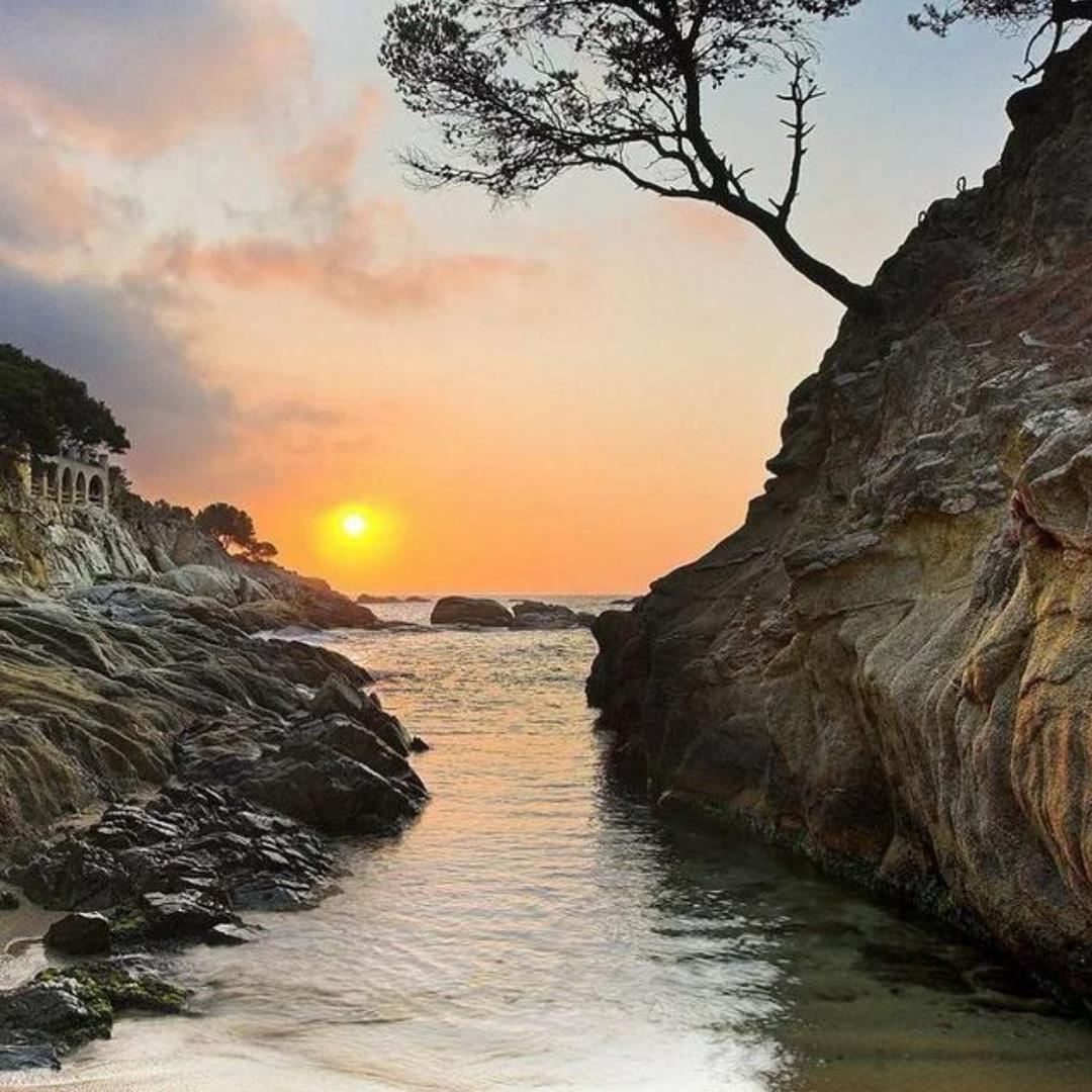 一切都是最好的安排