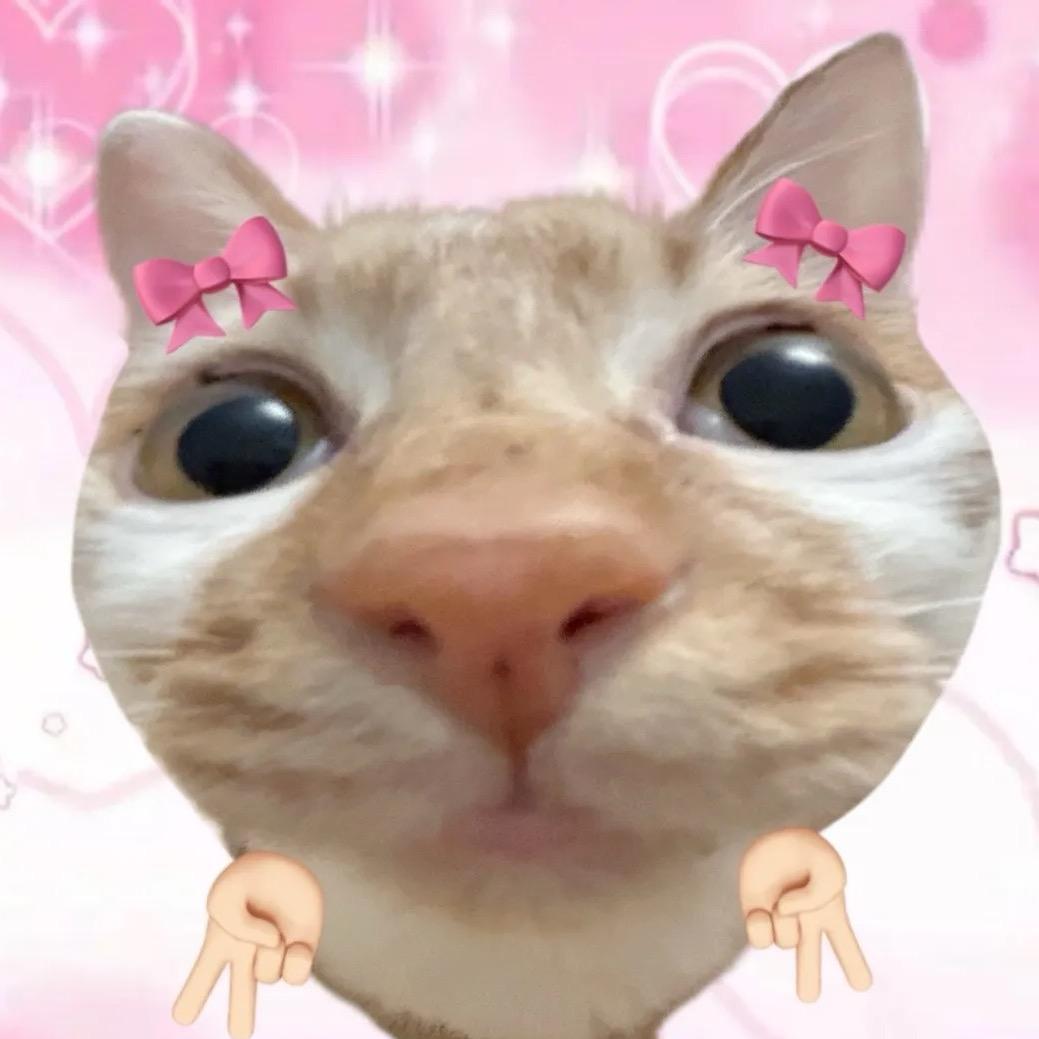 怪怪不怪怪