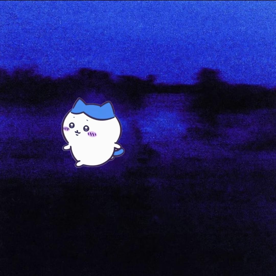 dumbki
