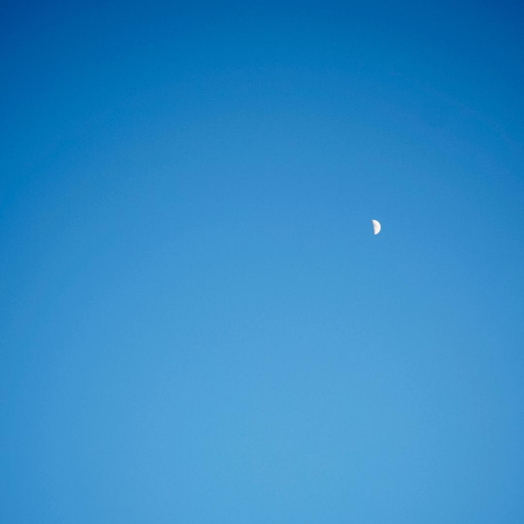 蓝得起名~