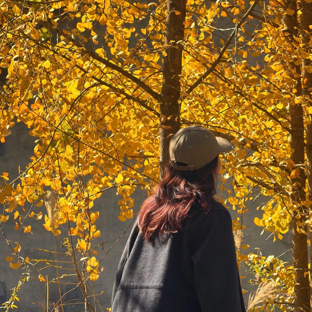智者🙅入爱河🌊