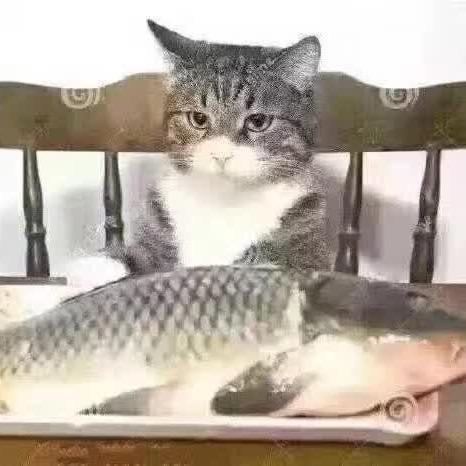 玉帝哥哥