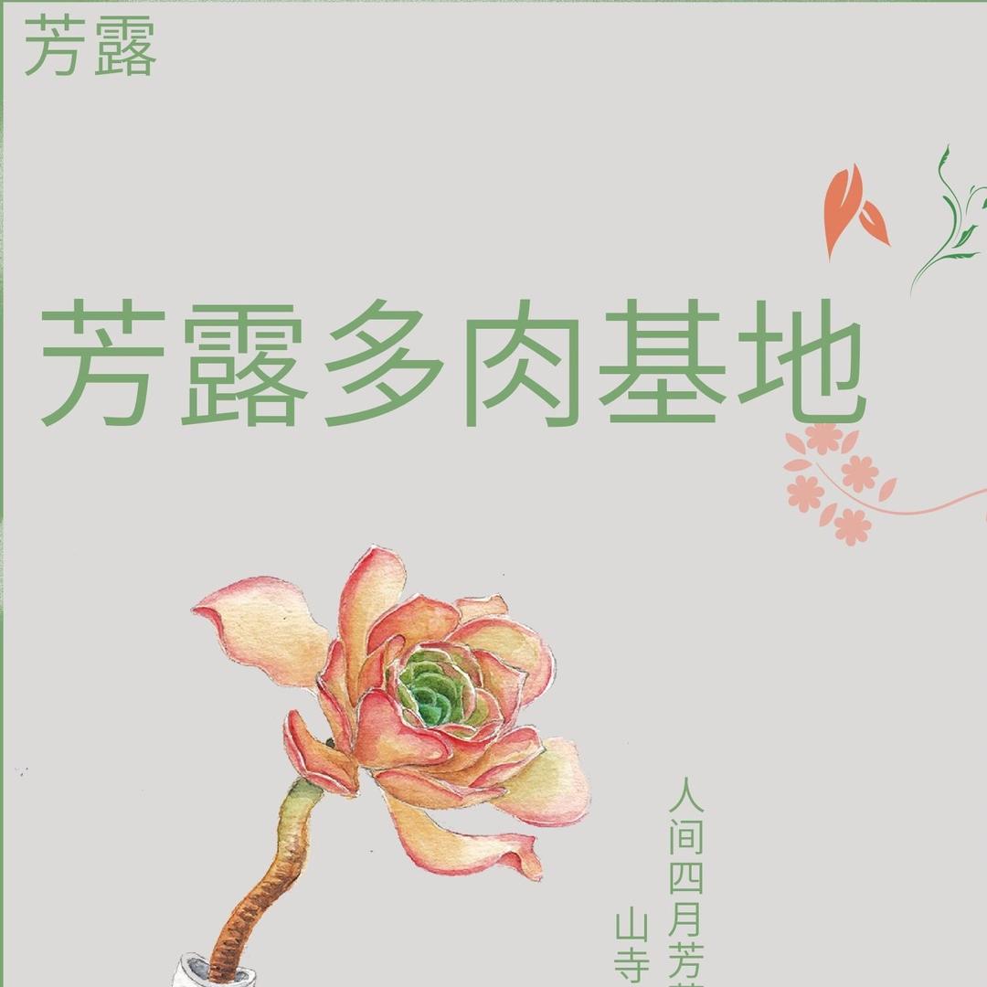 芳露多肉基地