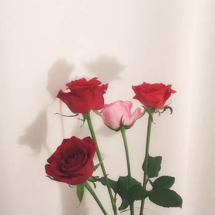 🧸旺仔