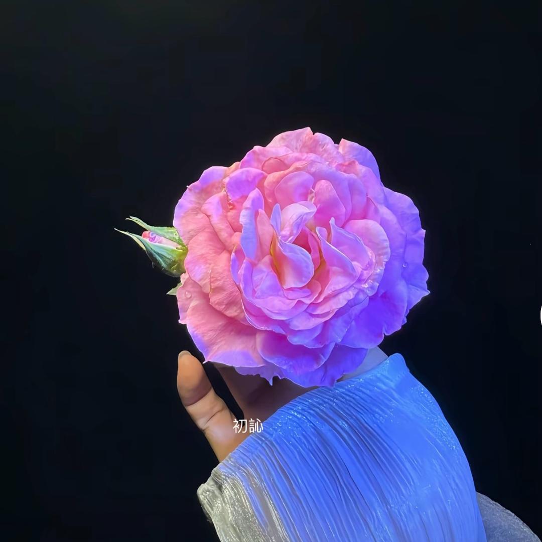 🌈上上签