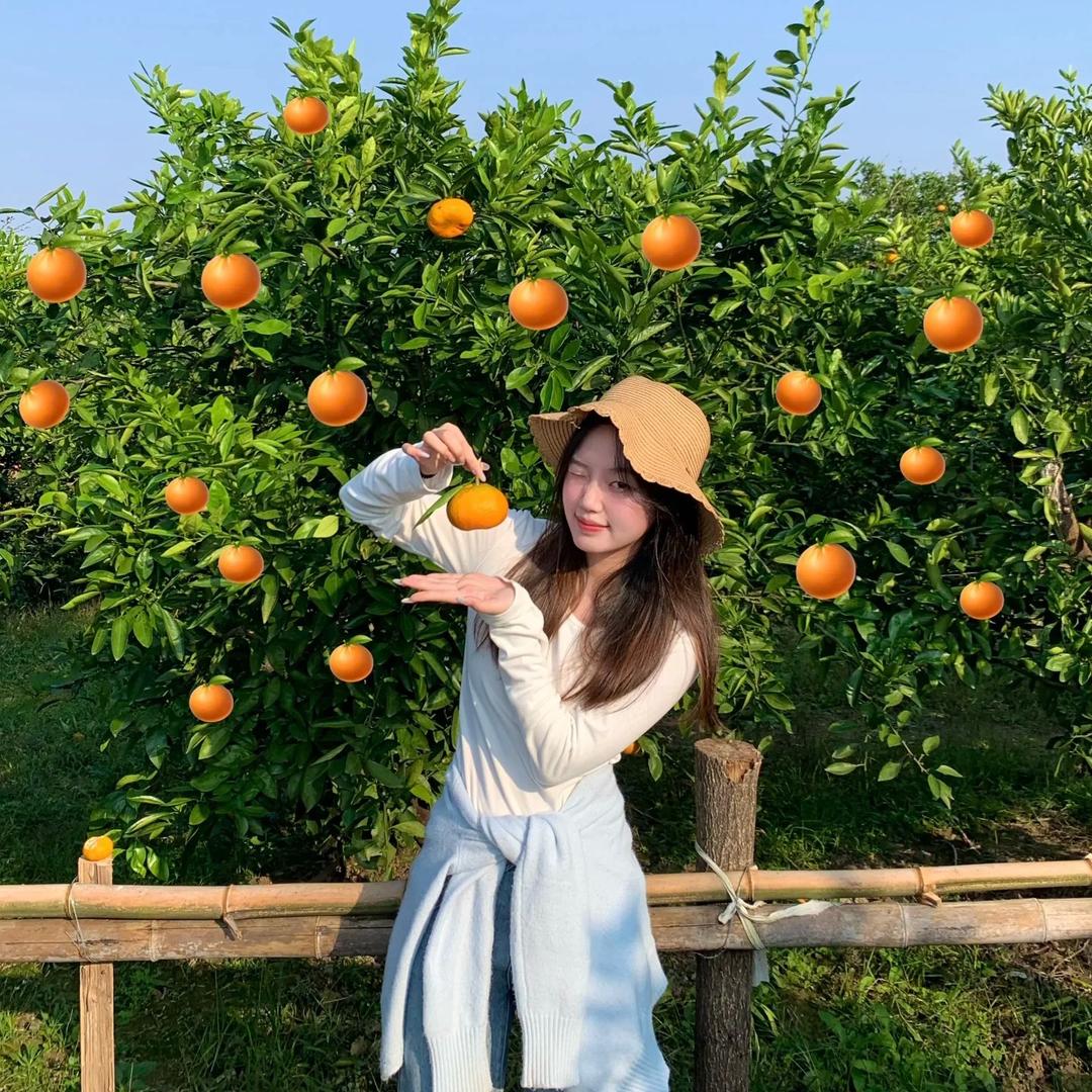 微微姐🍭