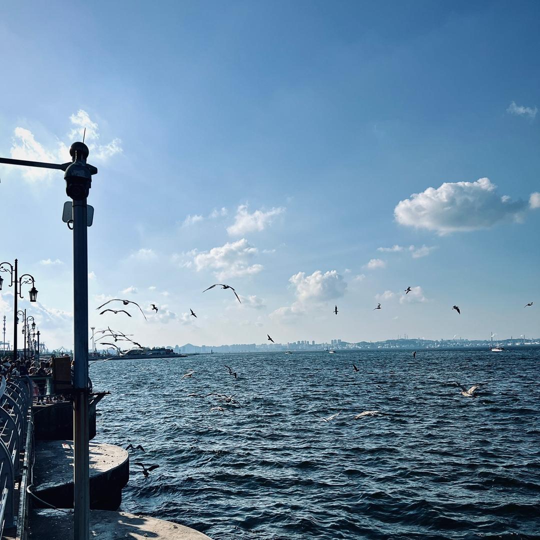 稳住，我们下把能赢