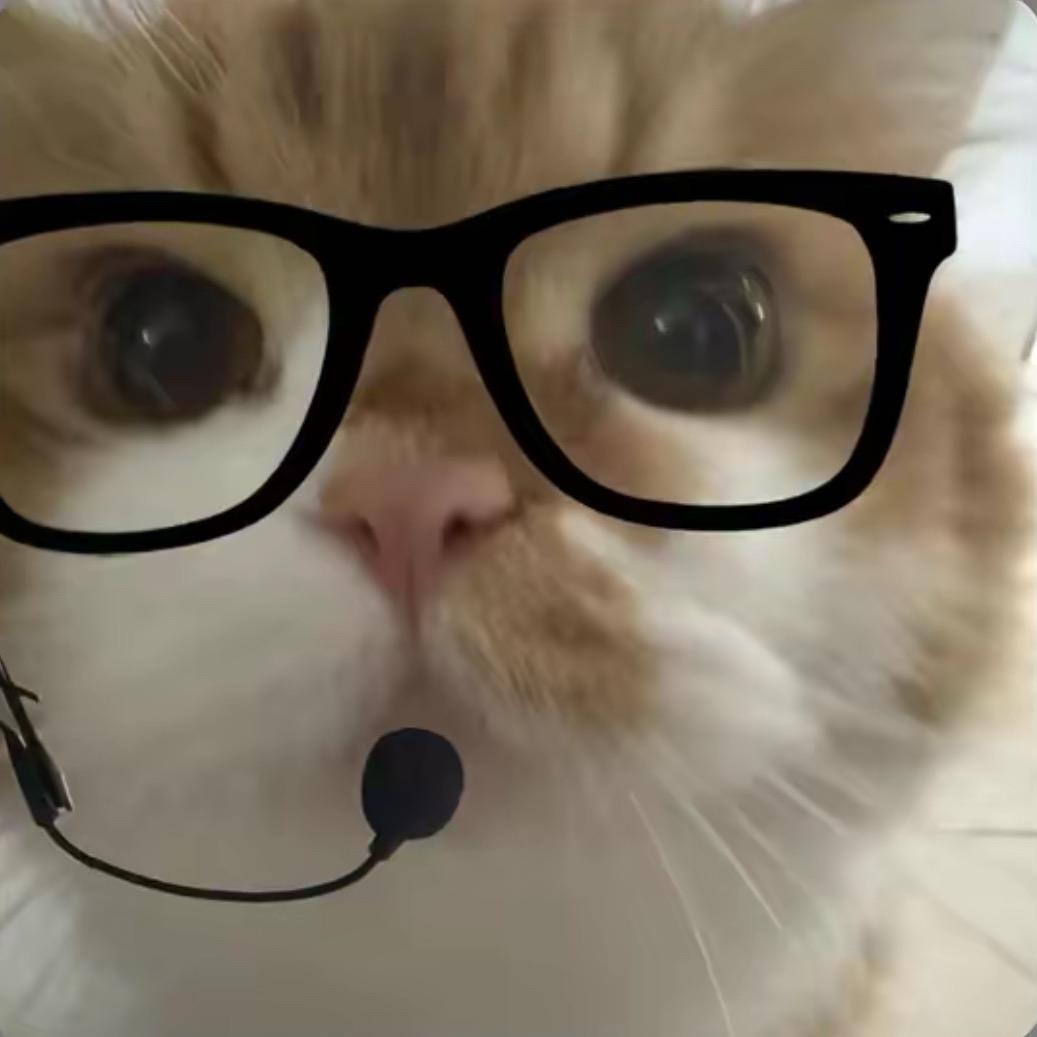 小猫挣钱养打工