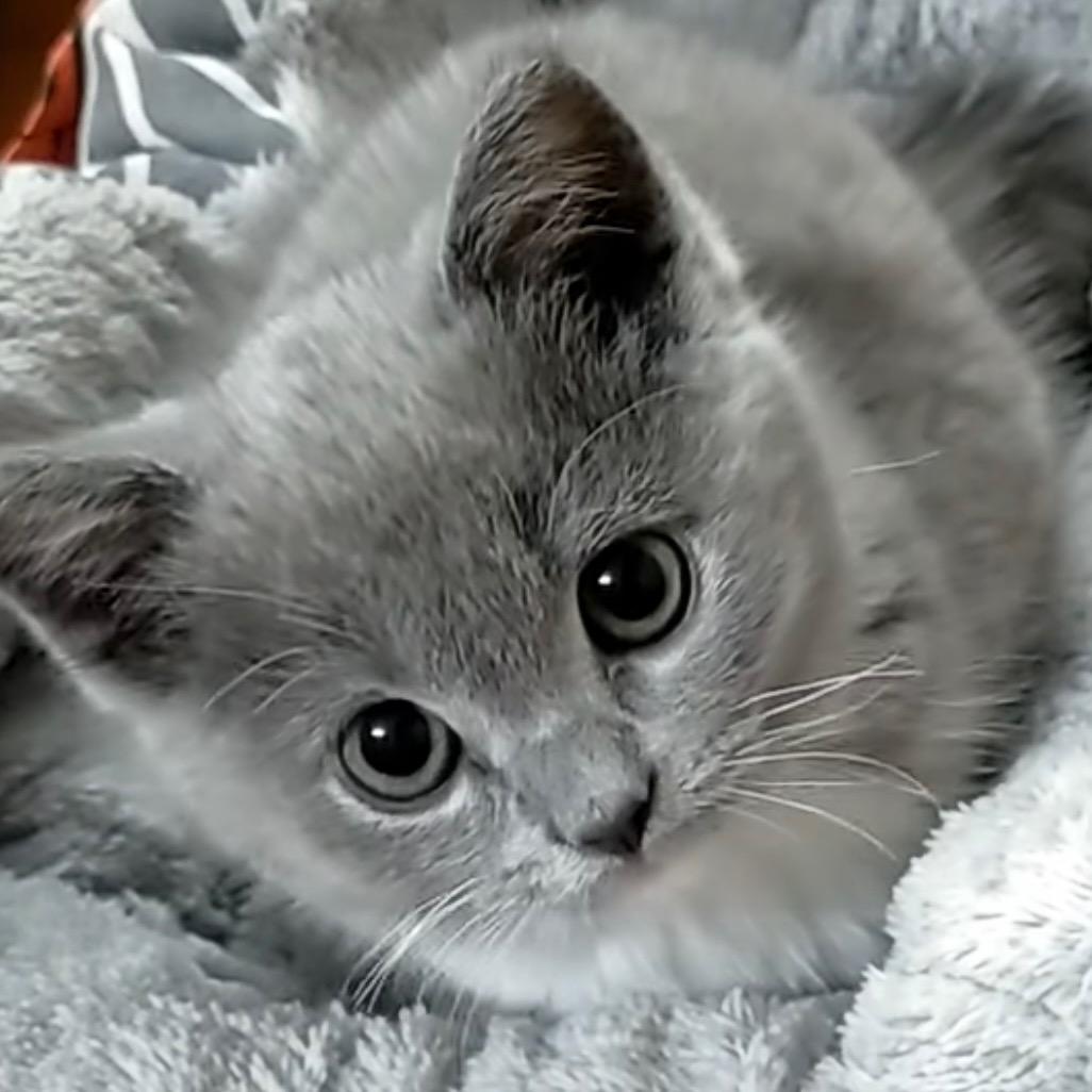 ꧔ꦿ᭄ 㞮ঞᩚ孞꧔ꦿ᭄