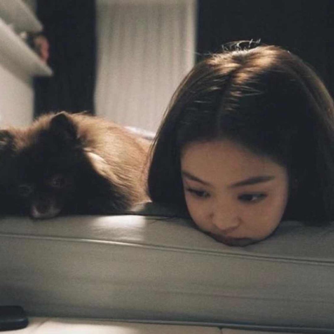 性感的驴
