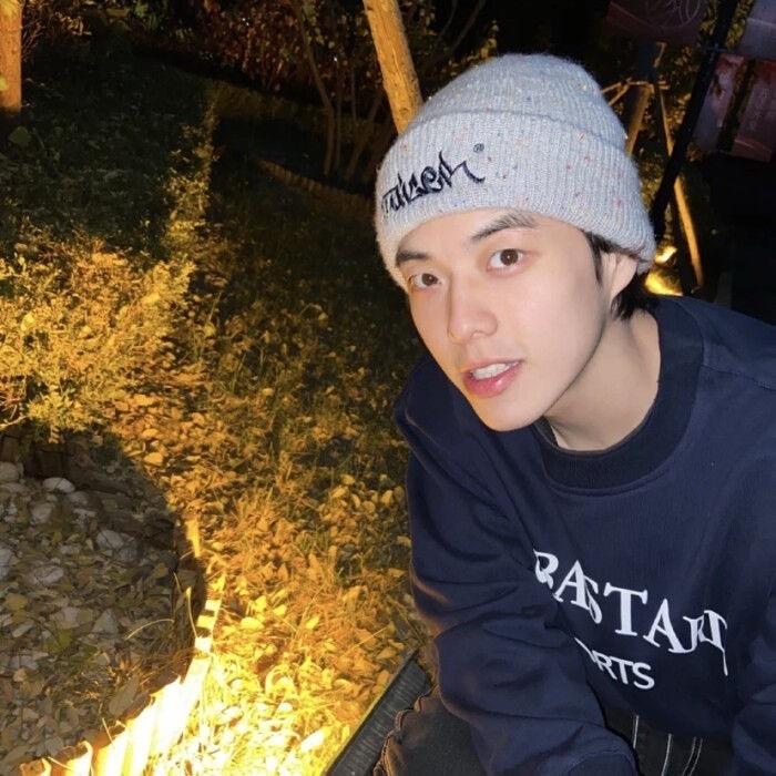 AAA专业套狗