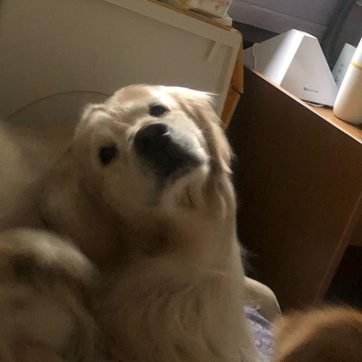 Third Eyes Beauty ᰔᩚ