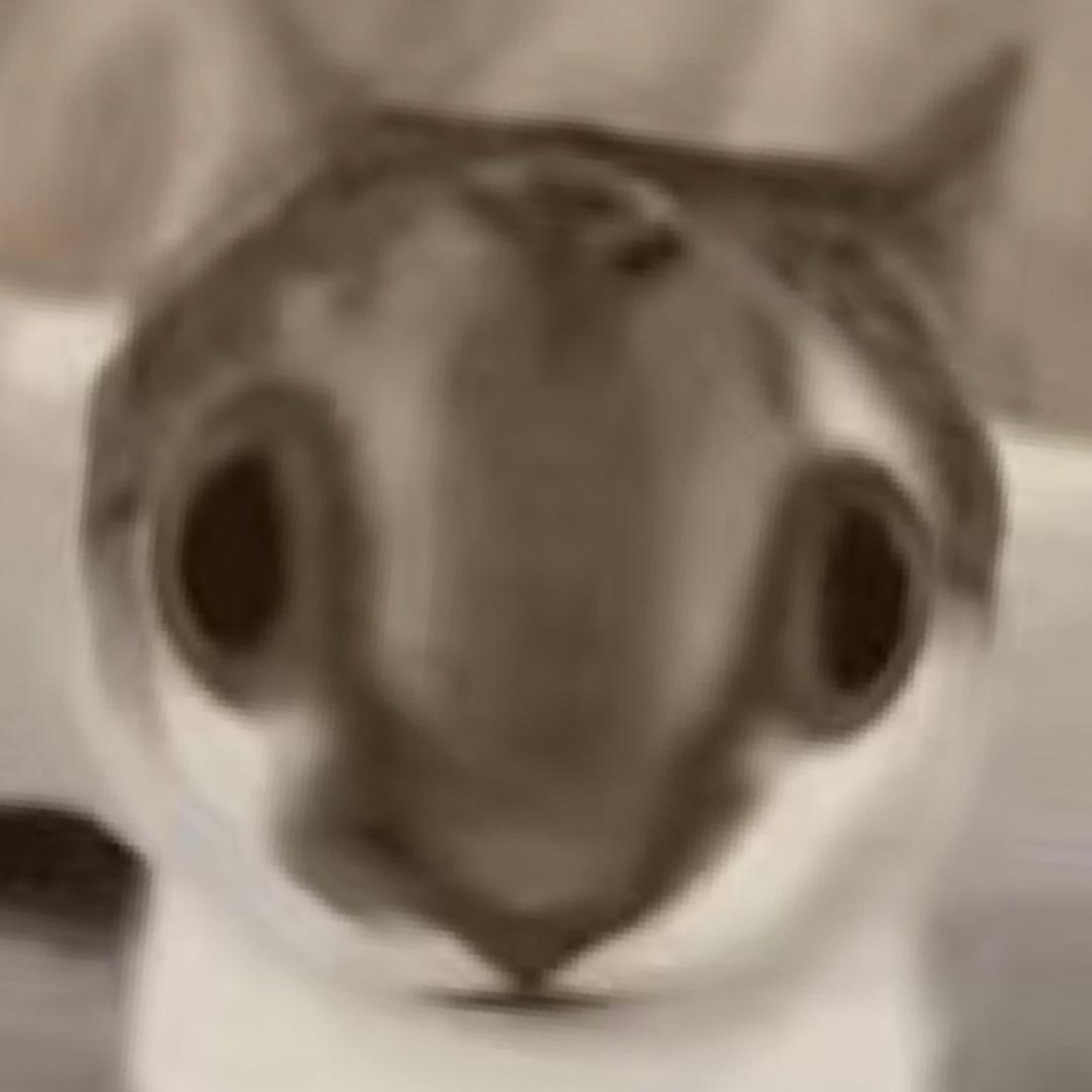追子