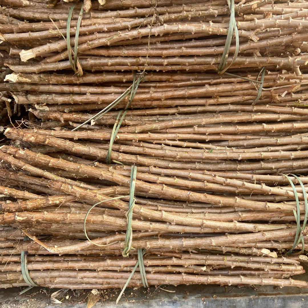 润之堂煲汤料
