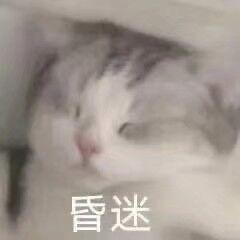 想7汉堡宝🍔