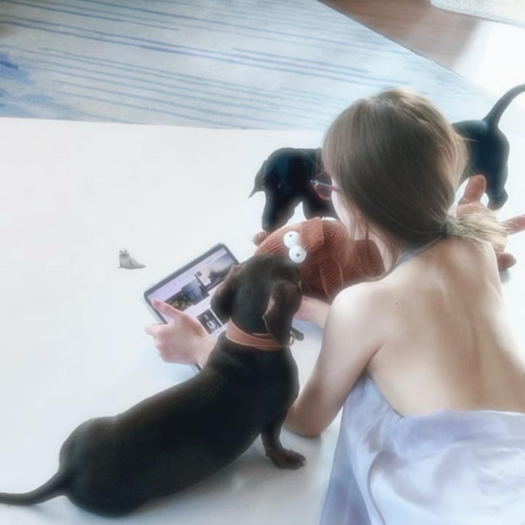 柚子（倒闭版）