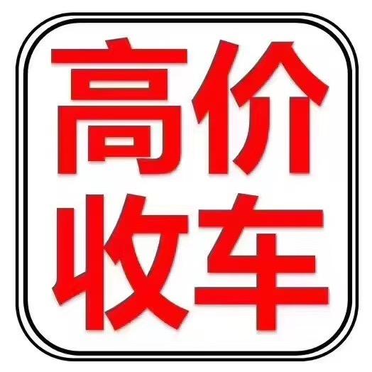 今天卖什么车