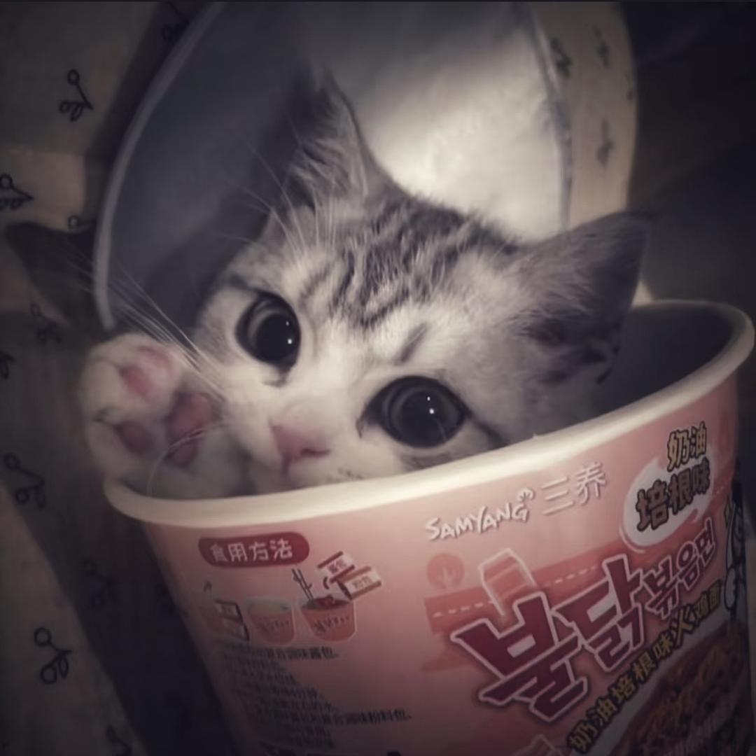 宇宙无敌超级美少女