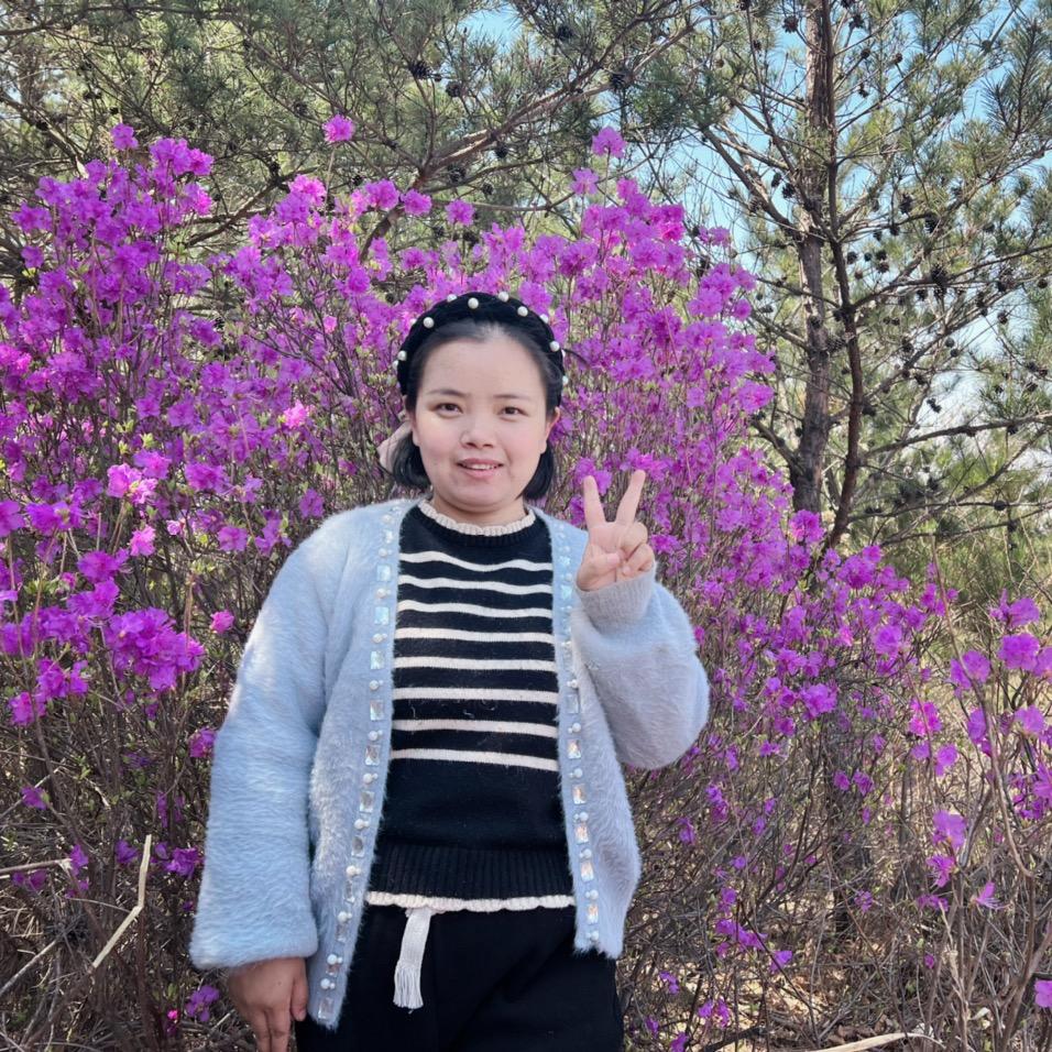 海燕东北土特产灵芝