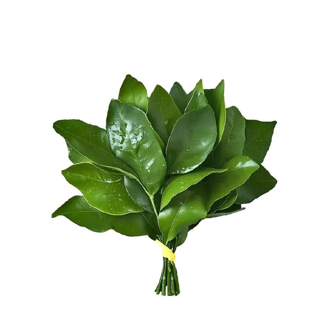 577