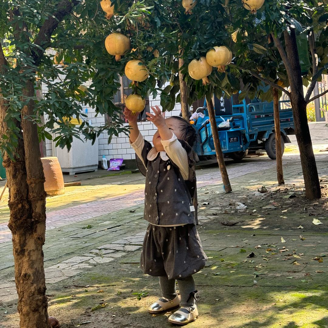 风止意难平