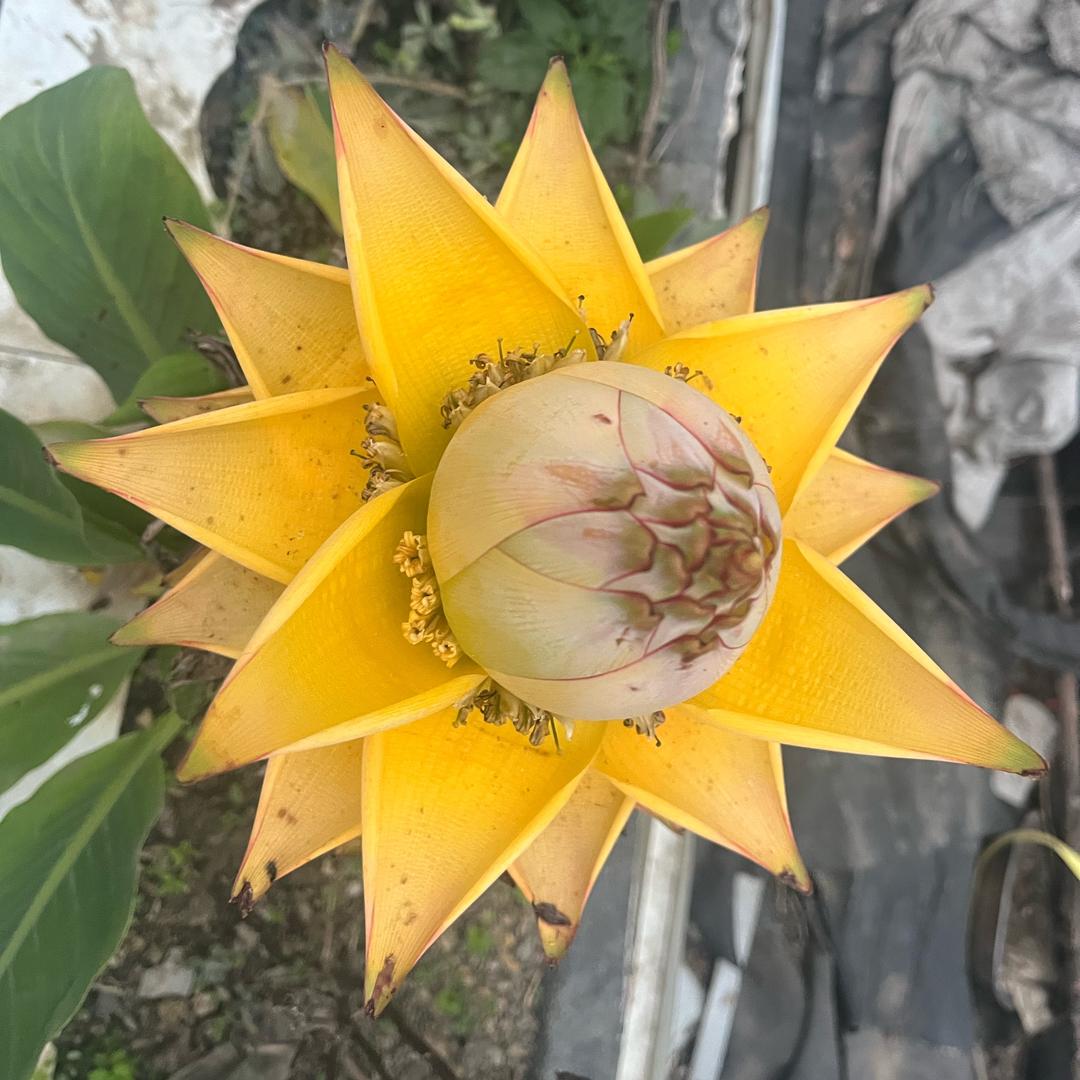 意  见  您🌈    抬頭↗仰望幸福