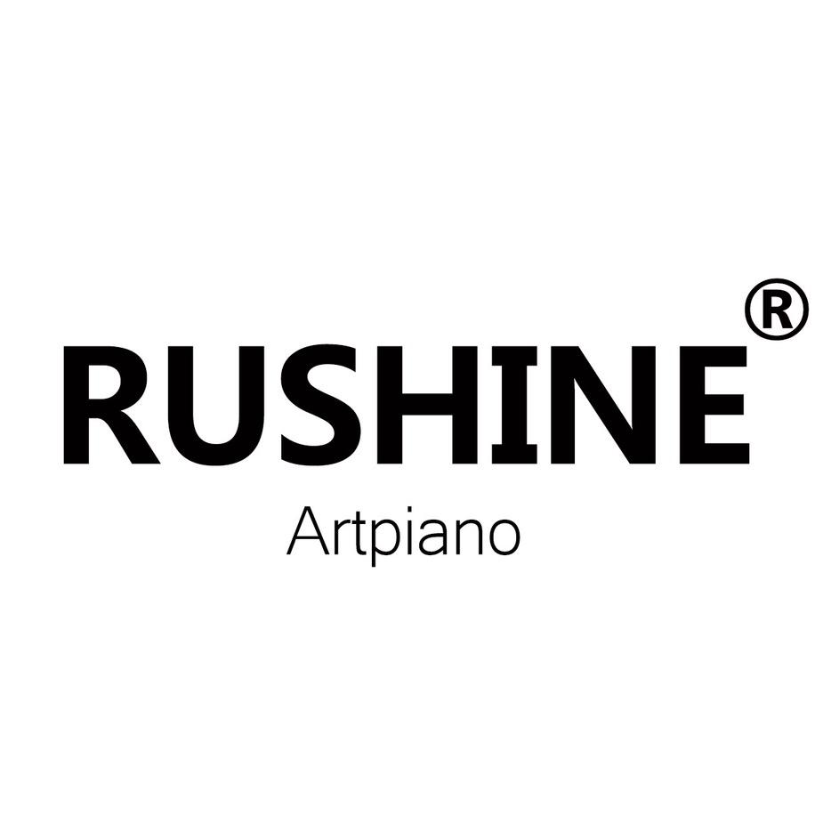 RUSHINE乐器旗舰店