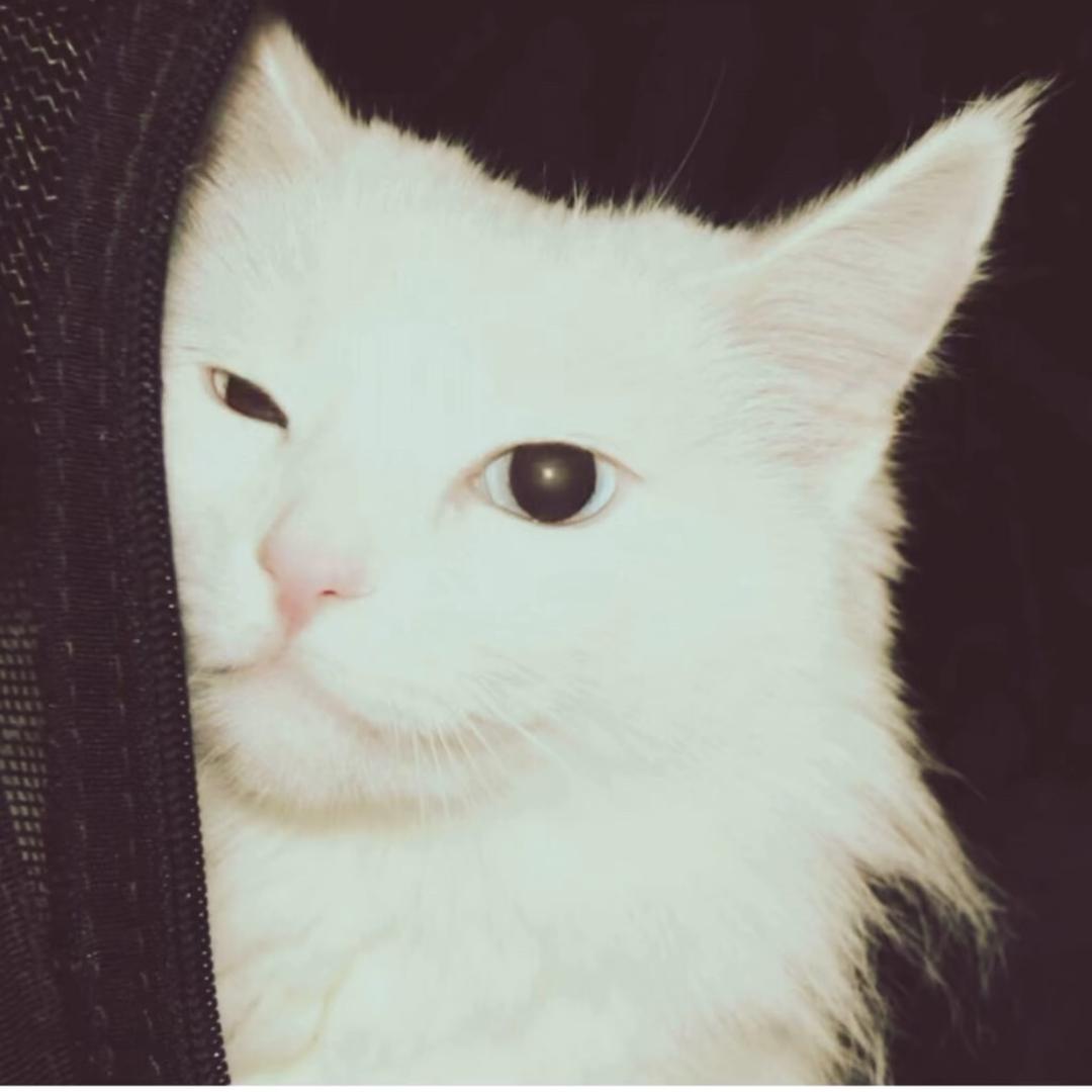 不知道改什么昵称