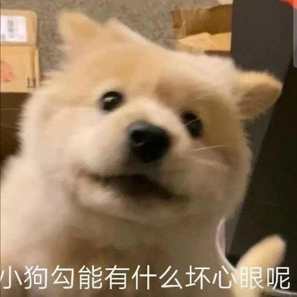 一只桶